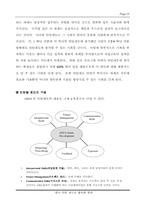 인턴쉽제도  한국 인턴제도 활성화 방안-15페이지