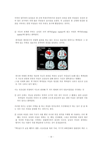 아동발달심리  뇌와 신경계-19페이지