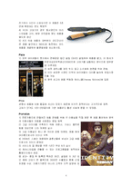 국제마케팅  KICA 헤어아이롱 세계 시장 공략기-4페이지