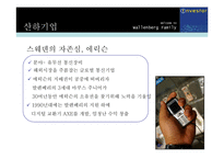 경영사례  발렌베리가문의 장기소유경영-13페이지