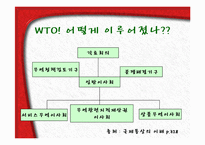 국제통상  세계무역기구(WTO)-4페이지