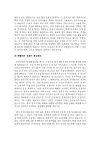 정치외교학과  중국동북공정의 대처방안-14페이지