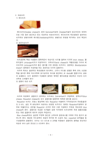 식품  치즈 레포트-6페이지