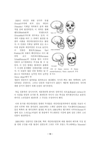 인류의 변화  뇌의 변화  인류의 진화  인류의 진화-13페이지