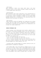 조직행동이론  IBM KOREA 동기부여 전략-12페이지