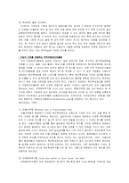 조직행동이론  IBM KOREA 동기부여 전략-14페이지