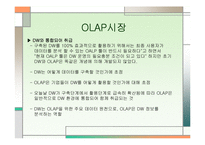 경영정보  OLAP 레포트-19페이지