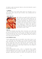 문화사회학  대중문화 생산과 소비(피어싱)-4페이지