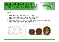 한국전통문화  한국의전통문화전래문양-15페이지