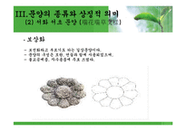 한국전통문화  한국의전통문화전래문양-18페이지
