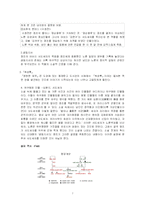한국사  `영원한 제국`과 정조시대-7페이지