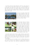 고객 서비스  서울경마공원 체험내용 및 고객 서비스 개선방안-3페이지
