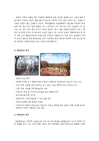도시행정론  서울숲  센트럴 파크-14페이지