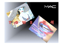 마케팅전략  색조화장품전문기업 MAC 맥 `아이쉐도우 스티커 화장품` 마케팅전략-6페이지