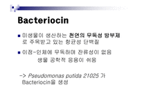 식품미생물  Pseudomonas putida 21025가 생성하는 bacteriocin을 이용한 항균성 미강 단백질 필름의 저장성 향상-7페이지