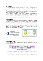 생물소재공학  아사이베리 항산화 화장품-14페이지