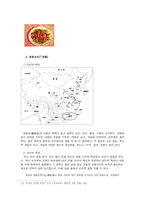 중국의 음식문화-14페이지