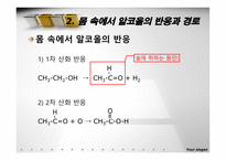 화학공학  술(C2H5OH)의 몸 속 작용과 숙취해소제의 작용원리-8페이지