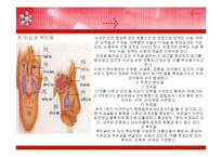 의학 두개골의 구조 및 명칭 분석(ppt)-8페이지