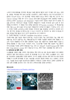 기술과 사회  나노바이오기술  나노바이오기술-4페이지