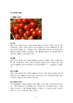 식품학  식품영양학  토마토의 특징과 효능 및 영양성분(식품학)-5페이지