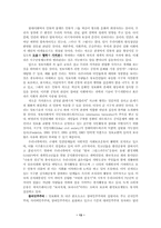 21세기 정보사회와 정신문화-13페이지