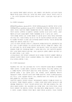 복잡성관점에서 본 한국사회개혁의 방법론-11페이지