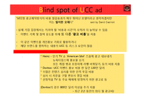 광고학  UCC와 광고 캠페인에 관한 고찰-15페이지
