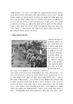 대동아공영권  일본의 대동아공영권과 아시아주의-8페이지