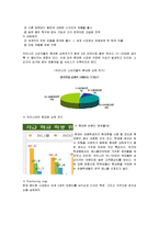 마케팅   브랜드마케팅 삼성  LG  애플  노키아  스마트폰  마케팅전략 비교분석(A+리포트)-12페이지