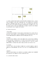 마케팅   브랜드마케팅 삼성  LG  애플  노키아  스마트폰  마케팅전략 비교분석(A+리포트)-13페이지