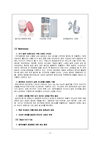 국제마케팅  태평양의 중국진출 신제품 -라네즈 롤리타램피카 개발전략-8페이지