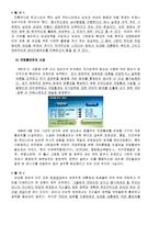 한국의 행정문화  국민의 정부와 참여정부의 행정문화의 비교 및 평가-13페이지