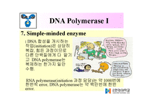 DNA Polymerase(DNA 중합효소)-17페이지