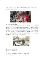도시관광론  서울시 관광 활성화 방안(대학로 공연문화를 중심으로)-14페이지
