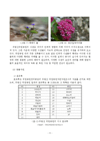 생태관광론  주왕산 국립공원과 주산지 생태관광지화 방안-11페이지