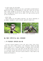 생태관광론  주왕산 국립공원과 주산지 생태관광지화 방안-20페이지