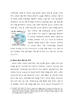 전략경영  삼성 반도체 산업의 전략 경영-13페이지
