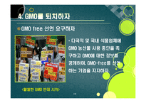 GMO gmo 논란의 주요 쟁점과 찬반 의견 집중분석  gmo의 문제점과 비판 사유 및 위험성에 대한 고찰(반대 의견 중심)-19페이지