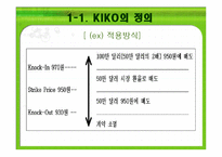 키코 KIKO의 피해 현황  원인 향후 개선 방안-5페이지