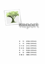 (레포트표지) 나무 액자 표지1