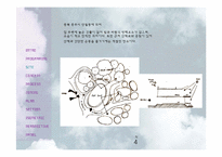 공학 원룸 설계-4페이지