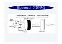 바이오센서(BIOSENSOR)의 구성 장단점 종류 응용에 관한 보고서 - 자연/공학