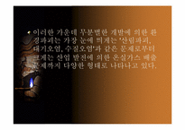 한국사회의 환경문제-5페이지