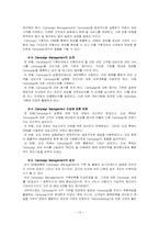 SK 텔레콤 CRM 성공사례 분석-17페이지
