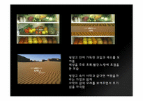 디자인  냉장고 광고 분석-6페이지