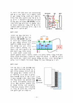 재료 공학 설계  Solar Cell(태양전지)-16페이지