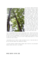 `나무` 신화에서의 의미와 그 상징적 고찰-18페이지