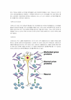 생물학  바이러스(Virus)-7페이지