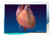 의료기기 제세동기 Defibrillator-7페이지